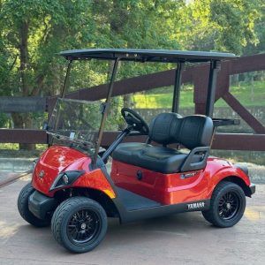 2024 Yamaha Drive2 - Electric
