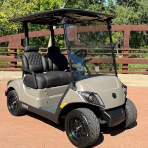 2024 Yamaha Drive2 - Electric
