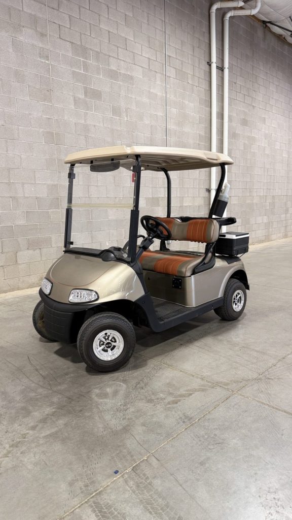 2016 EZ GO RXV- 48v electric golf cart